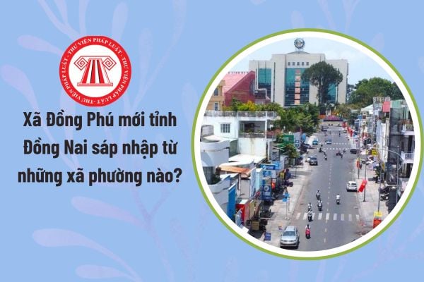 Pháp luật