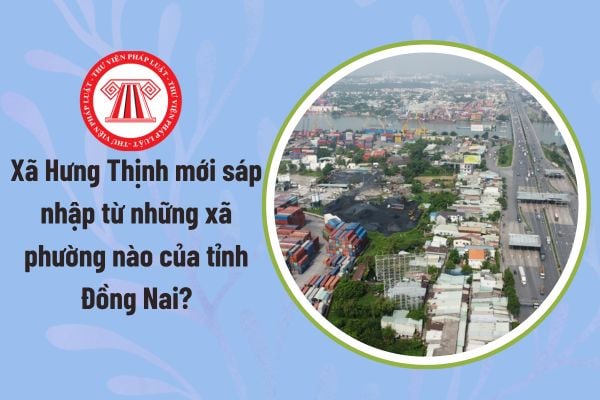 Pháp luật