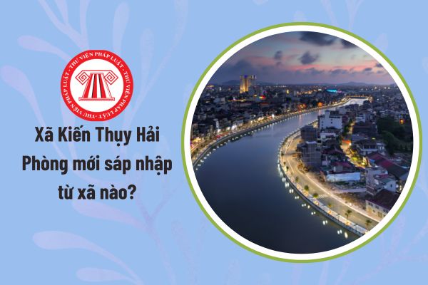 Pháp luật