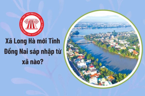 Pháp luật