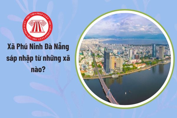Pháp luật