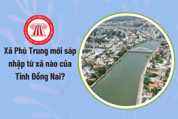 Pháp luật