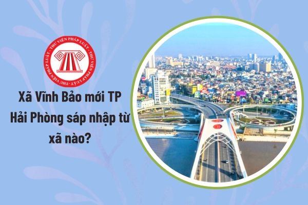Pháp luật