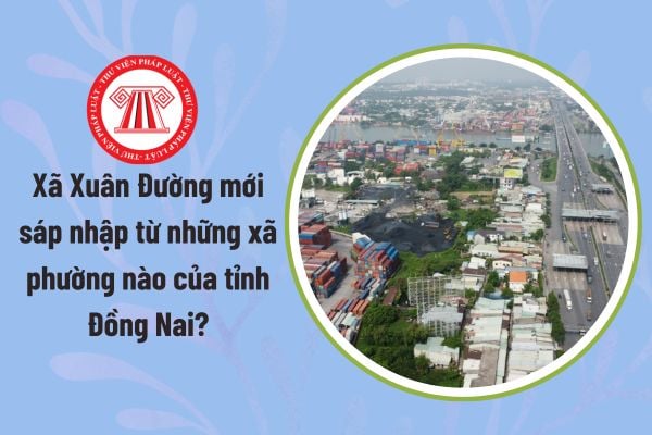 Pháp luật
