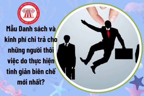 Mẫu Danh sách và kinh phí chi trả cho những người thôi việc do thực hiện tinh giản biên chế mới nhất?