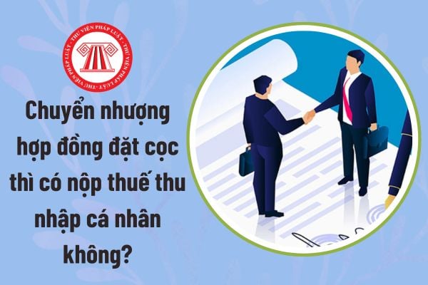 Pháp luật