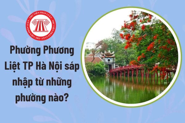 Pháp luật