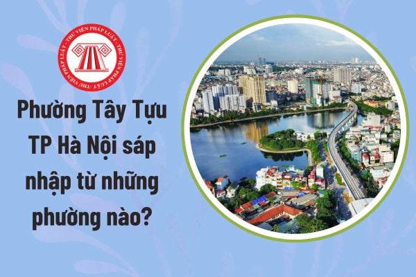 Pháp luật