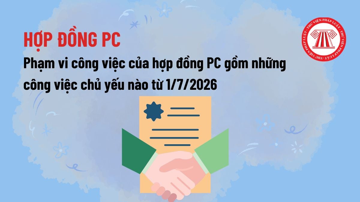 Pháp luật