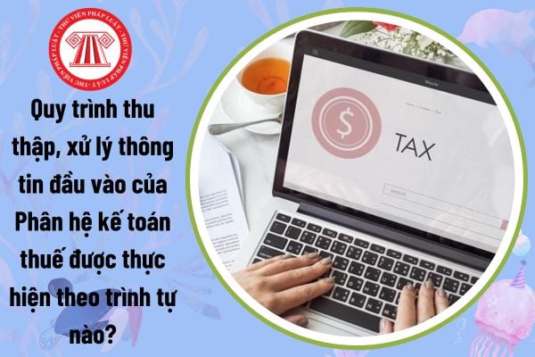 Quy trình thu thập, xử lý thông tin đầu vào của Phân hệ kế toán thuế được thực hiện theo trình tự nào?