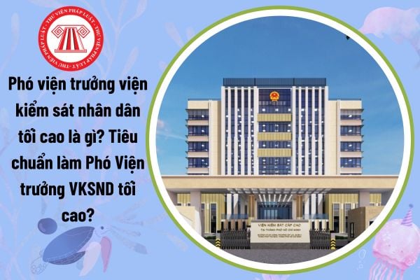 Phó Viện trưởng Viện Kiểm sát nhân dân tối cao là gì? Tiêu chuẩn làm Phó Viện trưởng VKSND tối cao?