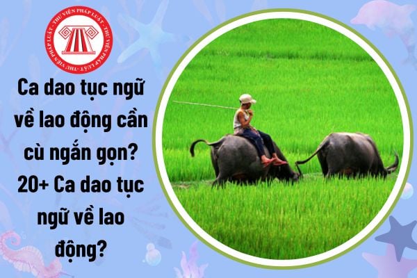 Ca dao tục ngữ về lao động cần cù ngắn gọn? 20+ Ca dao tục ngữ về lao động? Chính sách của Nhà nước về lao động?