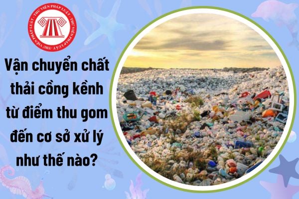 Vận chuyển chất thải cồng kềnh từ điểm thu gom đến cơ sở xử lý như thế nào? Vận chuyển chất thải thì phải nộp phiếu cân giao nhận không?