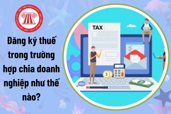 Đăng ký thuế trong trường hợp chia doanh nghiệp như thế nào? Việc chia doanh nghiệp có thay đổi thời hạn nộp thuế không?