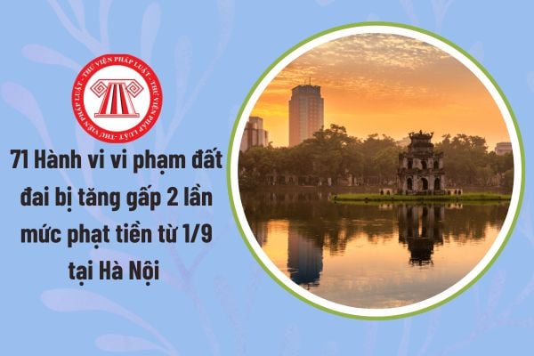 Pháp luật