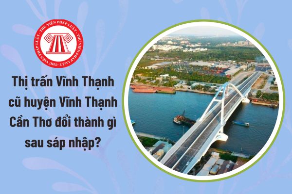 Pháp luật