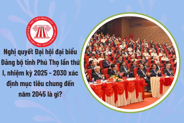 Pháp luật