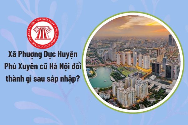Pháp luật