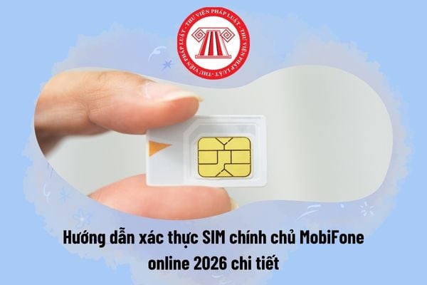 Pháp luật
