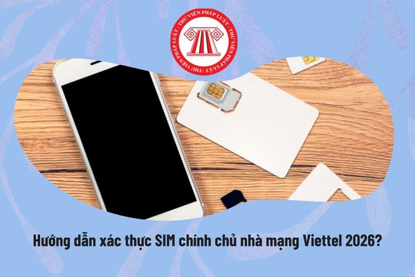Pháp luật