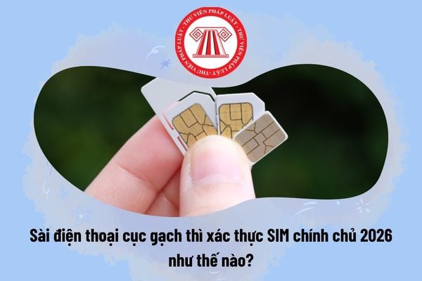 Pháp luật