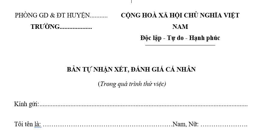 Mẫu tự đánh giá bản thân trong quá trình thử việc mới nhất? Cách viết bản tự đánh giá bản thân trong quá trình thử việc?