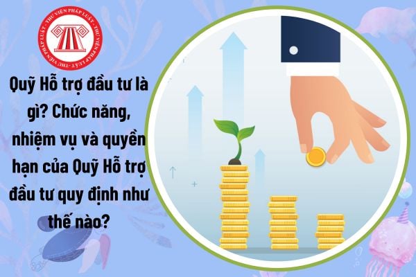 Quỹ Hỗ trợ đầu tư là gì? Chức năng, nhiệm vụ và quyền hạn của Quỹ Hỗ trợ đầu tư quy định như thế nào?