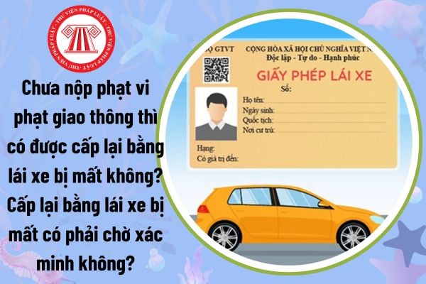 Chưa nộp phạt vi phạt giao thông thì có được cấp lại bằng lái xe bị mất không? Cấp lại bằng lái xe bị mất có phải chờ xác minh không?