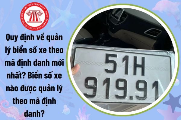 Quy định về quản lý biển số xe theo mã định danh mới nhất? Biển số xe nào được quản lý theo mã định danh?