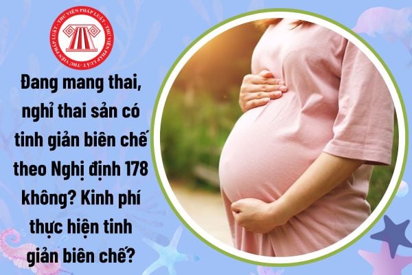 Đang mang thai, nghỉ thai sản có tinh giản biên chế theo Nghị định 178 không? Kinh phí thực hiện tinh giản biên chế?