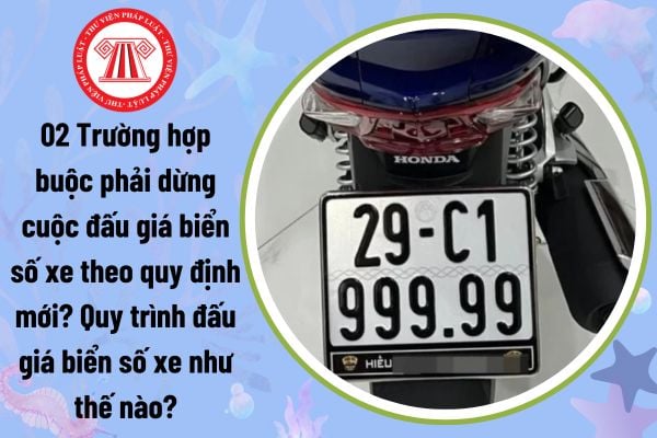 02 Trường hợp buộc phải dừng cuộc đấu giá biển số xe theo quy định mới? Quy trình đấu giá biển số xe như thế nào?