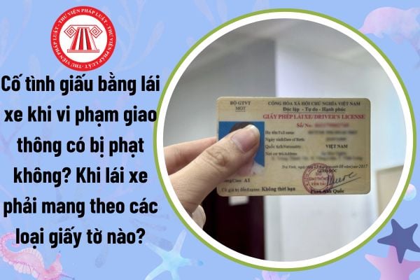 Cố tình giấu bằng lái xe khi vi phạm giao thông có bị phạt không? Khi lái xe phải mang theo các loại giấy tờ nào?