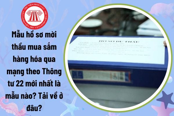 Mẫu hồ sơ mời thầu mua sắm hàng hóa qua mạng theo Thông tư 22 mới nhất là mẫu nào? Tải về ở đâu?