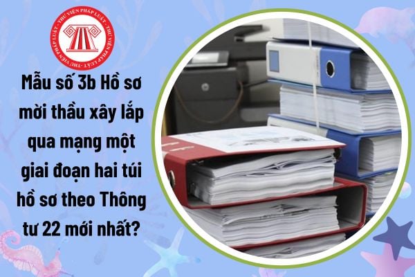 Mẫu số 3b Hồ sơ mời thầu xây lắp qua mạng một giai đoạn hai túi hồ sơ theo Thông tư 22 mới nhất?