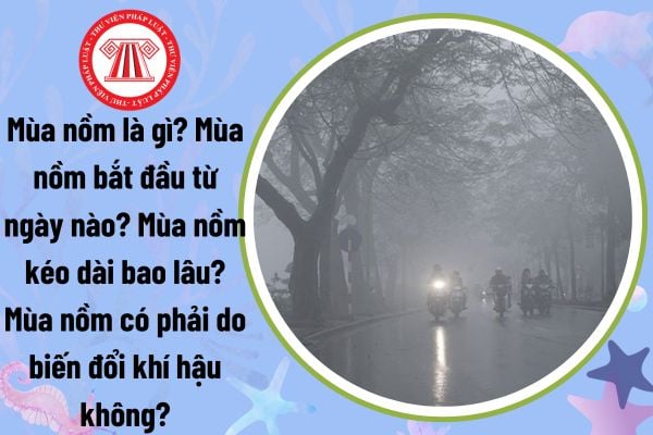 Mùa nồm là gì? Mùa nồm bắt đầu từ ngày nào? Mùa nồm kéo dài bao lâu? Mùa nồm có phải do biến đổi khí hậu không?