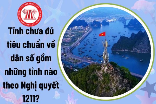 Tỉnh chưa đủ tiêu chuẩn về dân số gồm những tỉnh nào theo Nghị quyết 1211? Hồ sơ thẩm tra đề án sáp nhập tỉnh?