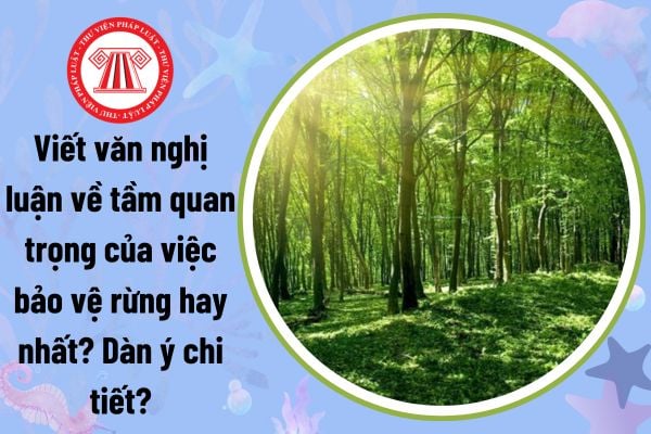 Viết văn nghị luận về tầm quan trọng của việc bảo vệ rừng hay nhất? Dàn ý nghị luận về tầm quan trọng của bảo vệ rừng?