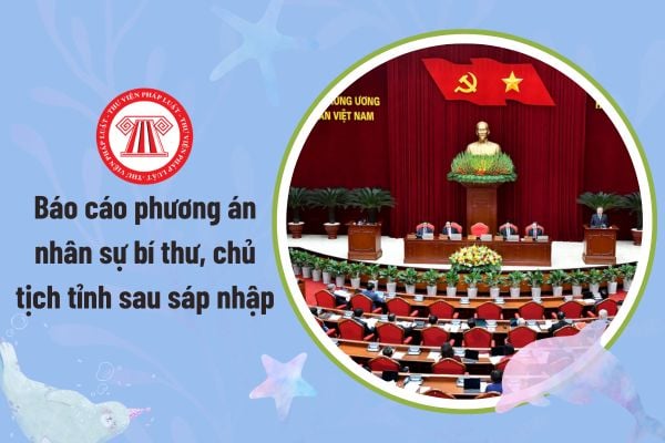 Pháp luật