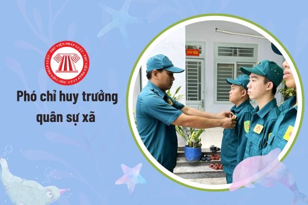 Pháp luật