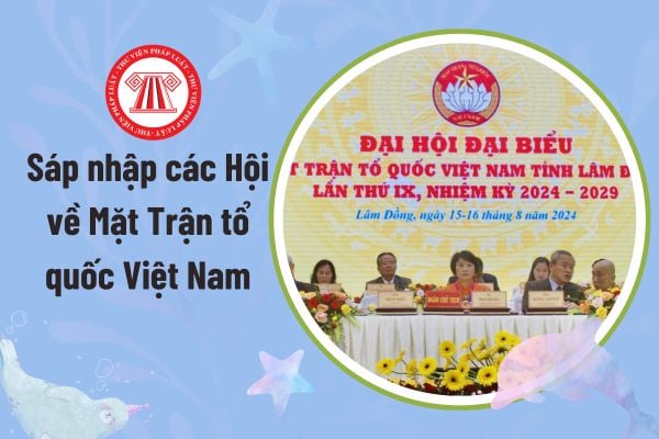 Pháp luật