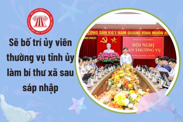 Pháp luật