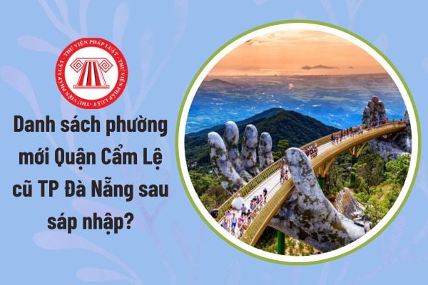 Pháp luật