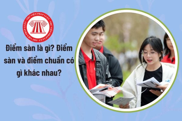 Pháp luật