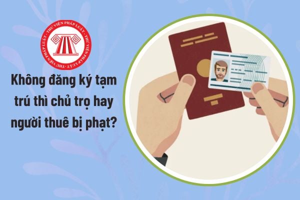 Pháp luật