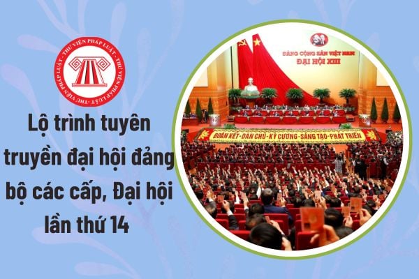 Pháp luật