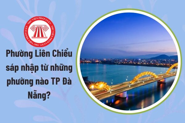 Pháp luật