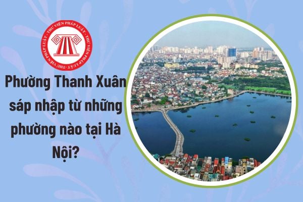 Pháp luật