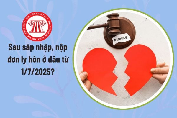 Pháp luật