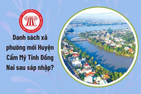 Pháp luật