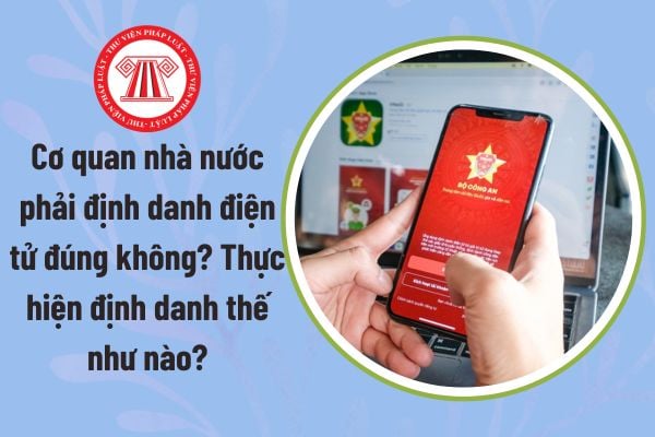 Pháp luật
